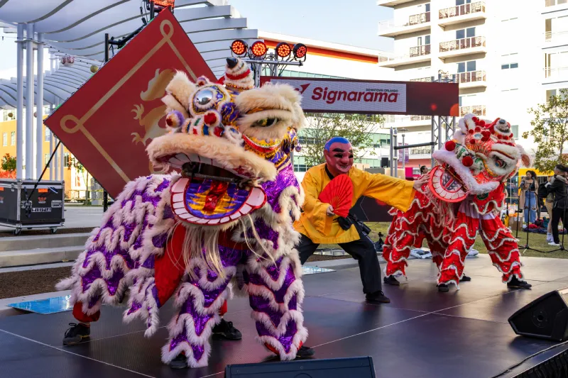 Immersing Yourself in the Vibrancy of Local Festivals and Cultural Events